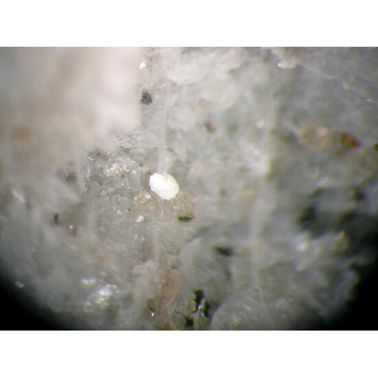 Griceite Eudialyte & Villiaumite