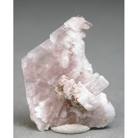 Behoite & Alicewilsonite-(YCe)