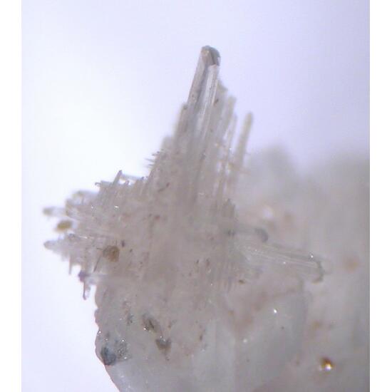 Behoite & Alicewilsonite-(YCe)