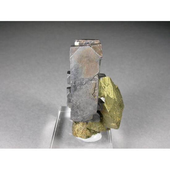 Galena & Chalcopyrite