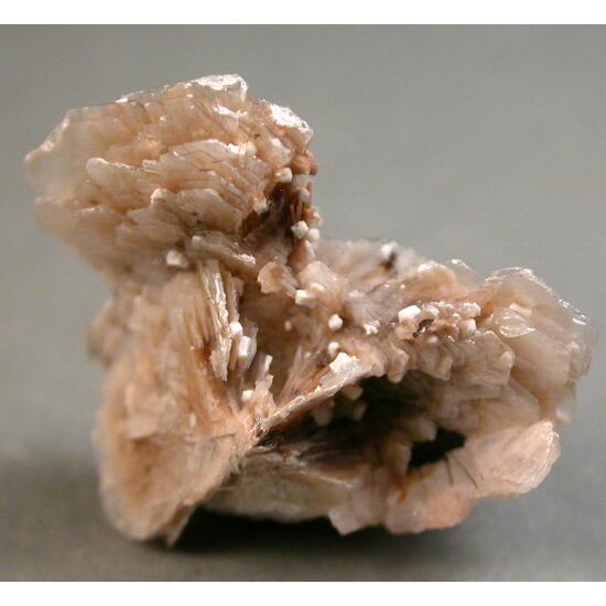 Rhabdophane-(Ce) & Polylithionite