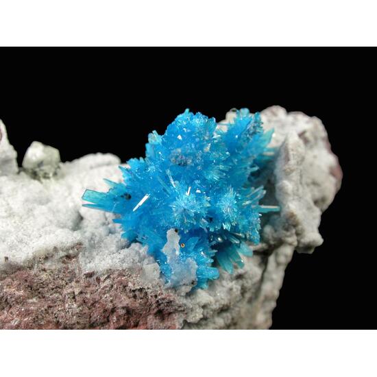 Pentagonite