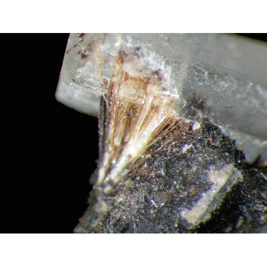 Natrolite Aegirine & Adamsite-(Y)