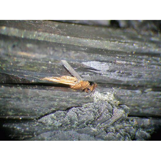 Arfvedsonite Aegirine & Zircon