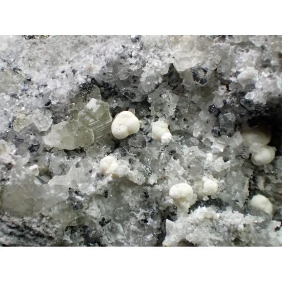 Weloganite Dresserite & Dawsonite