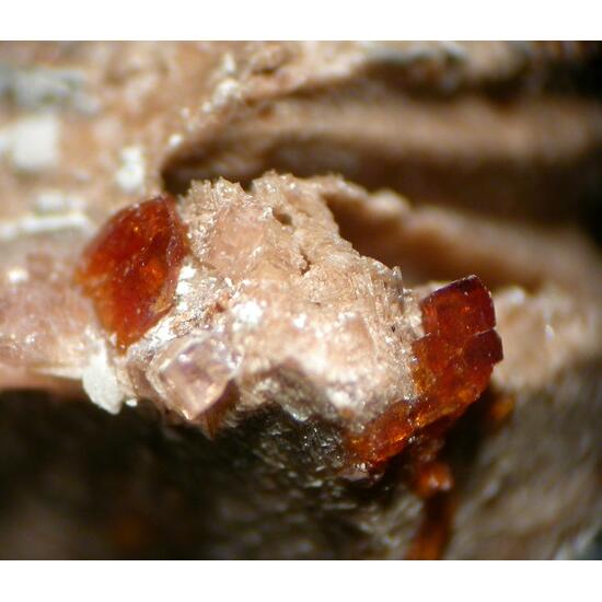 Albite Catapleiite Manganoneptunite Epididymite & Aegirine