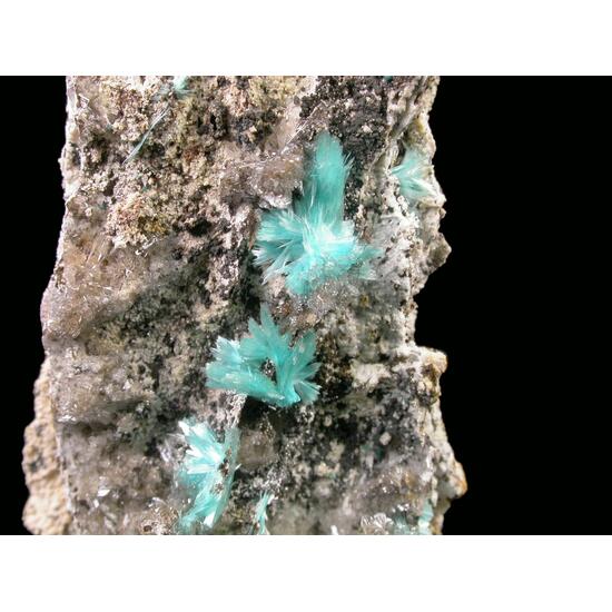 Aurichalcite & Hemimorphite