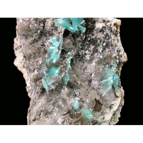 Aurichalcite & Hemimorphite