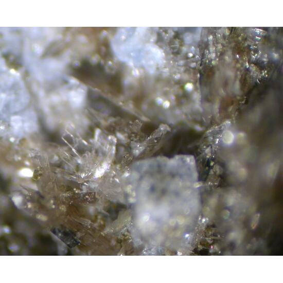 Carletonite Richterite Tainiolite Narsarsukite & Calcite