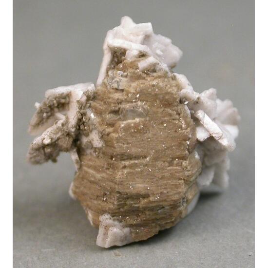 Charleshatchettite & Donnayite-(Y)