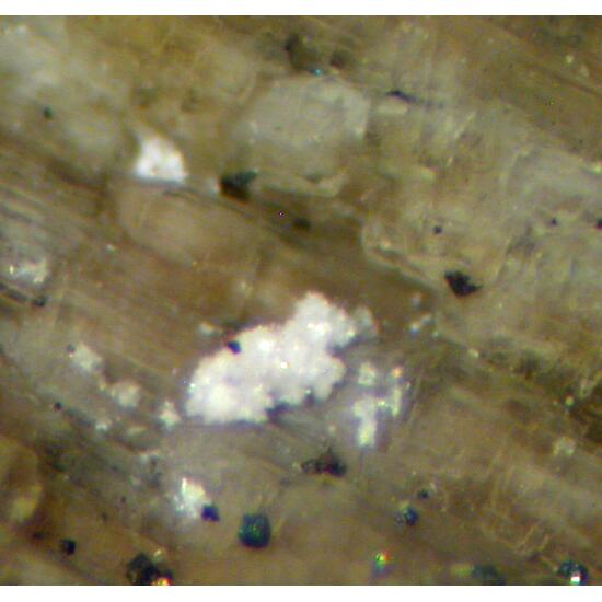 Charleshatchettite & Donnayite-(Y)