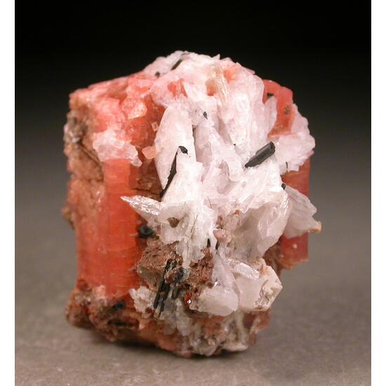 Sérandite Manganoneptunite Catapleiite & Epididymite