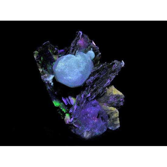 Schizolite Analcime & Polylithionite