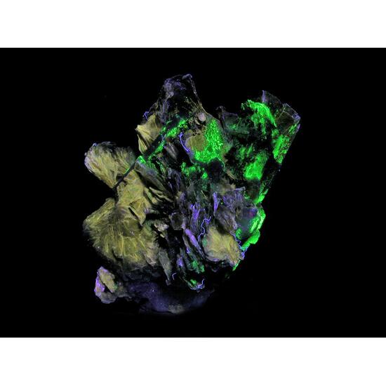 Schizolite Analcime & Polylithionite
