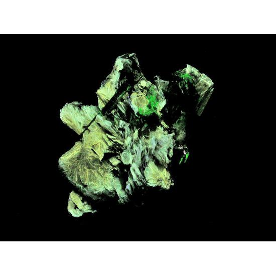 Schizolite Analcime & Polylithionite