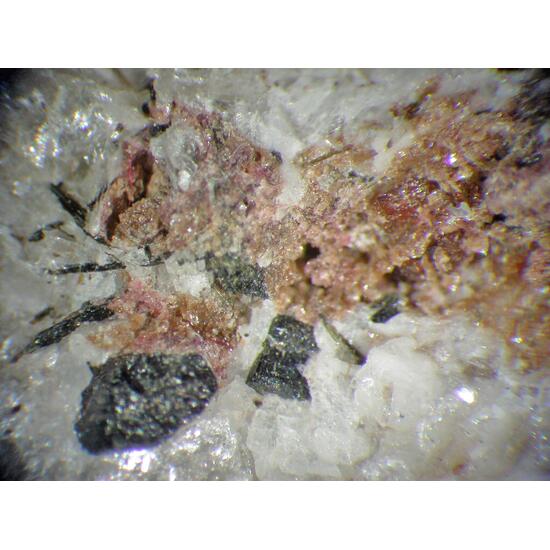 Petarasite & Polylithionite