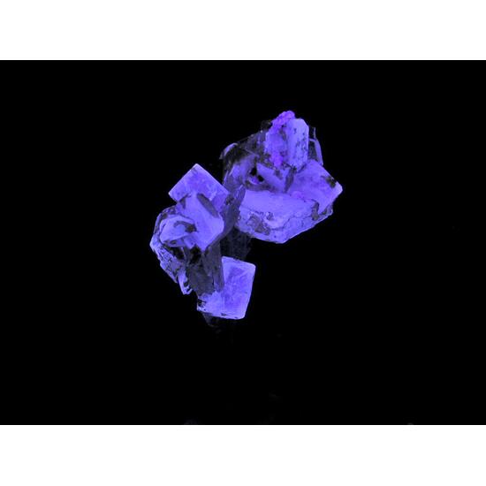 Leucophanite & Aegirine