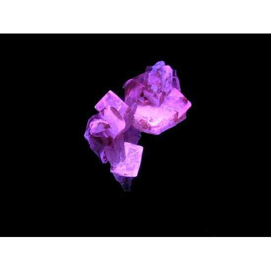 Leucophanite & Aegirine