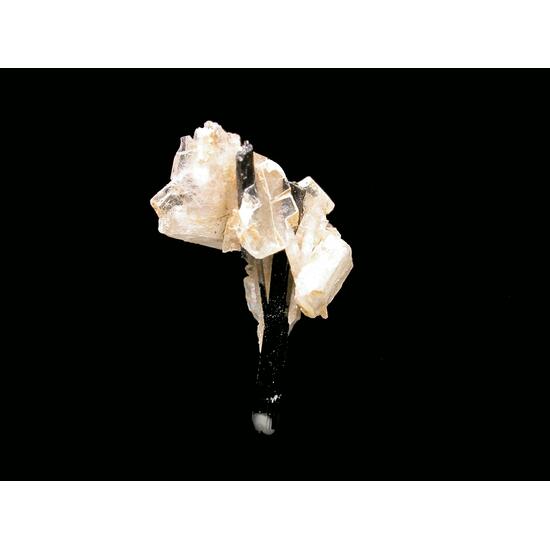 Leucophanite & Aegirine