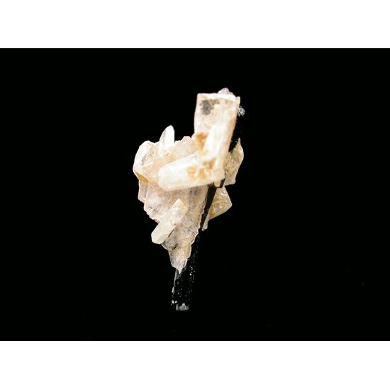 Leucophanite & Aegirine