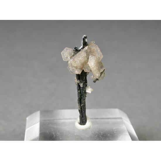 Catapleiite & Aegirine