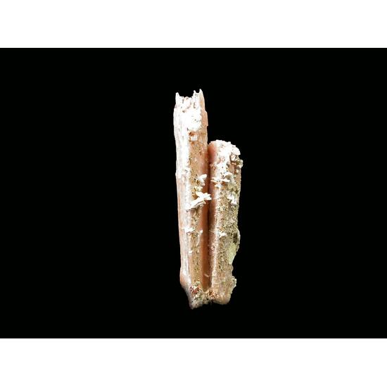 Schizolite Rhabdophane-(Ce) & Leucophanite