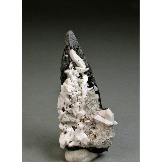 Aegirine & Manganoneptunite