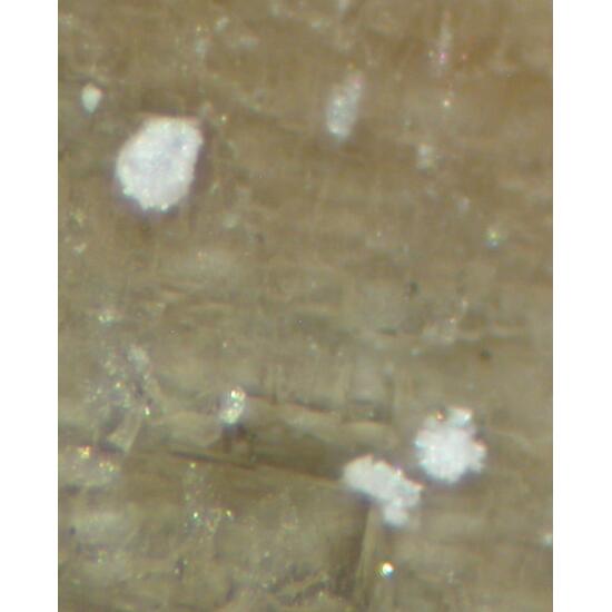 Charleshatchettite & Donnayite-(Y)