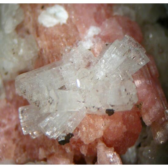 Leifite & Sérandite