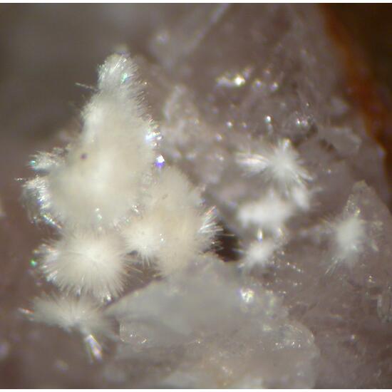 Lintisite Lovozerite & Ussingite