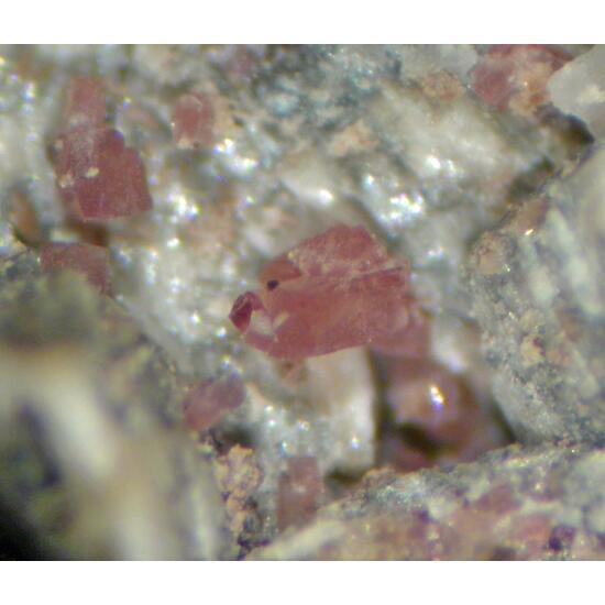 Petarasite