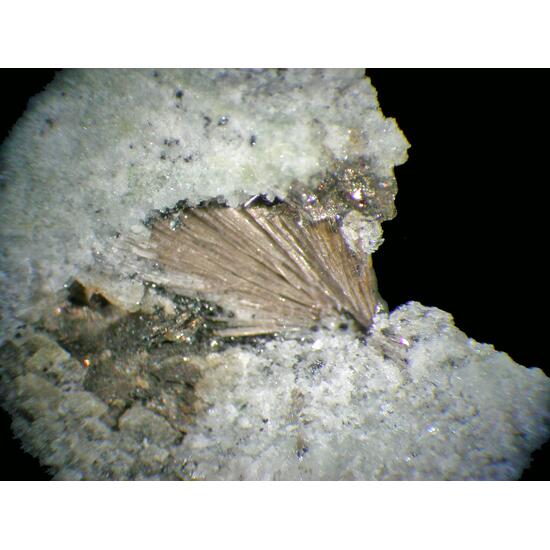 Lorenzenite & Monteregianite