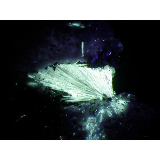 Lorenzenite & Monteregianite