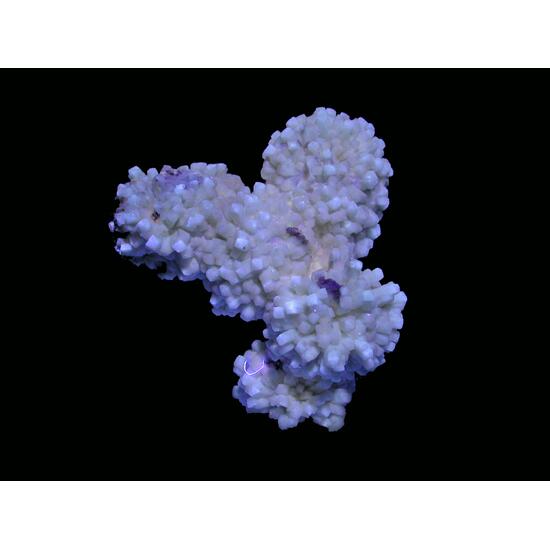 Gonnardite & Natrolite