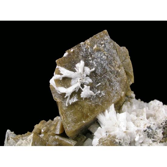 Siderite Albite Catapleiite Thorbastnäsite & Franconite