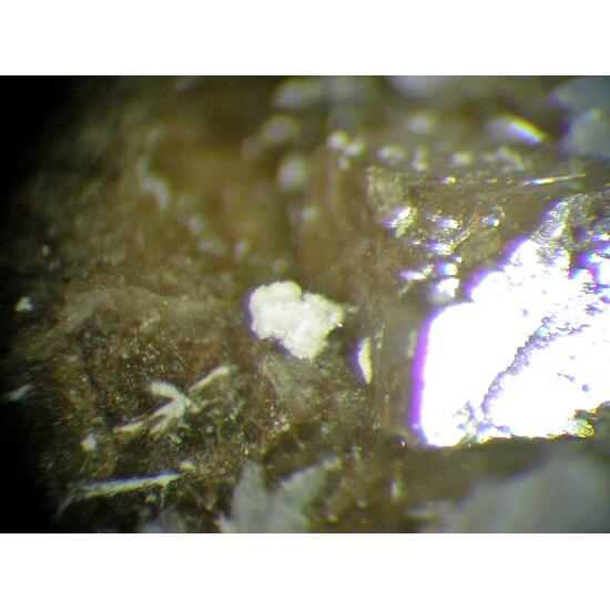 Siderite Albite Catapleiite Thorbastnäsite & Franconite