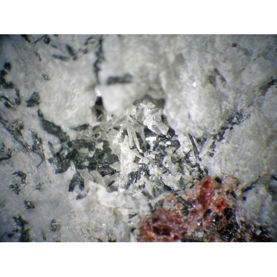 Lamprophyllite Cancrisilite & Eudialyte