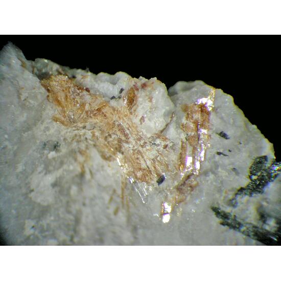 Lamprophyllite Cancrisilite & Eudialyte