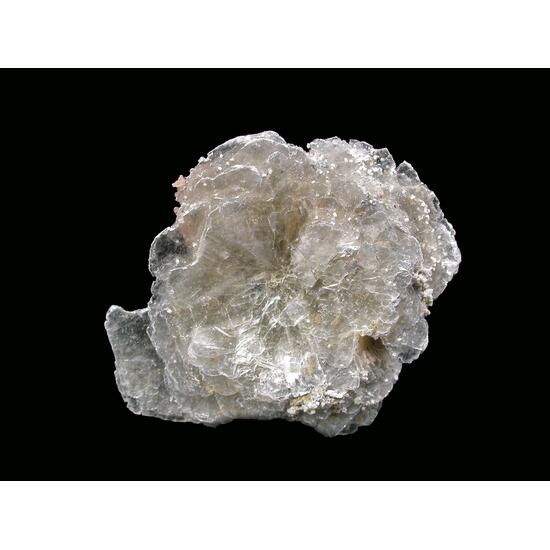 Polylithionite