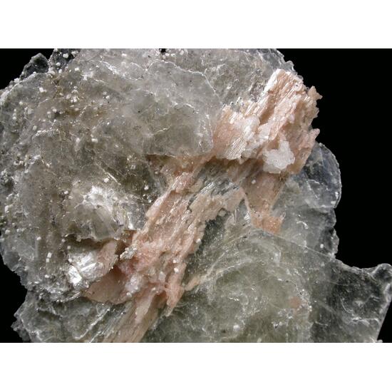 Polylithionite