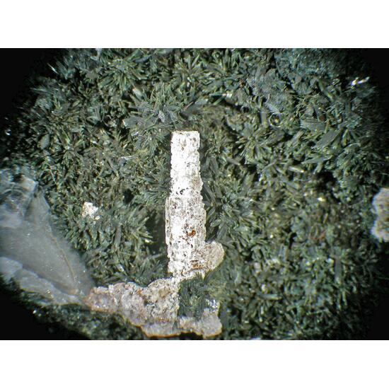 Rhodochrosite Aegirine Arfvedsonite & Calcioancylite-(Ce)