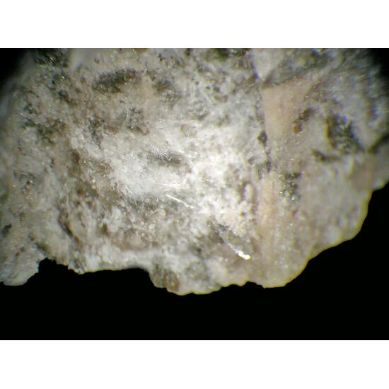 Mordenite Clinoptilolite-Ca & Chabazite-Na