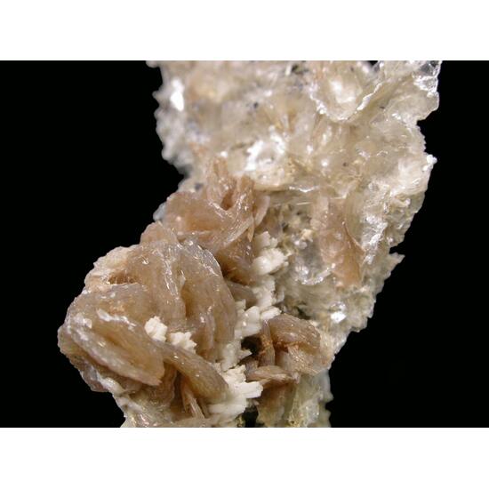 Polylithionite
