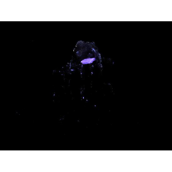 Leucophanite & Albite