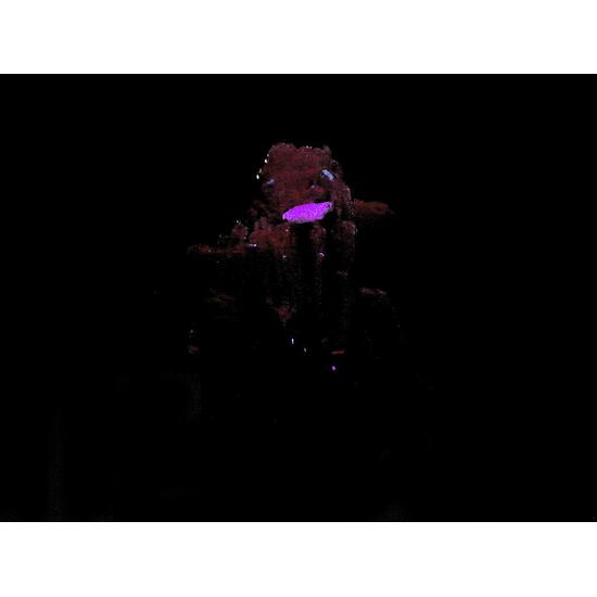 Leucophanite & Albite