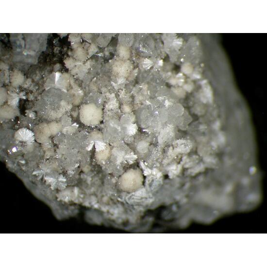 Weloganite & Dresserite