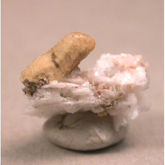 Alicewilsonite-(YCe)