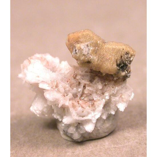 Alicewilsonite-(YCe)
