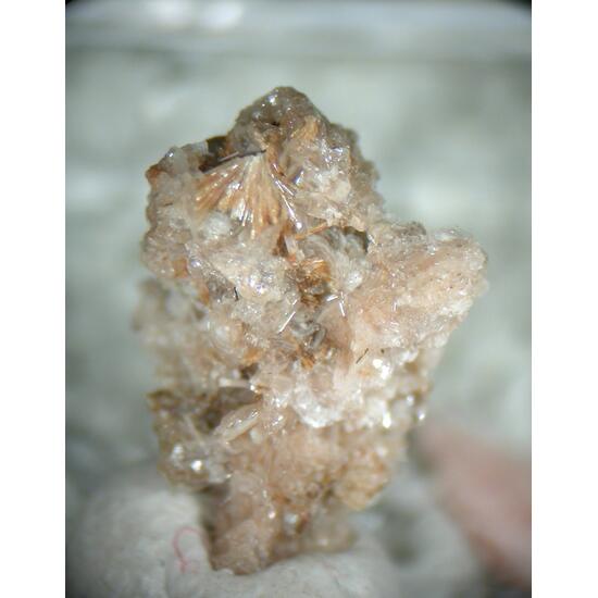 Bussyite-(Ce) & Catapleiite