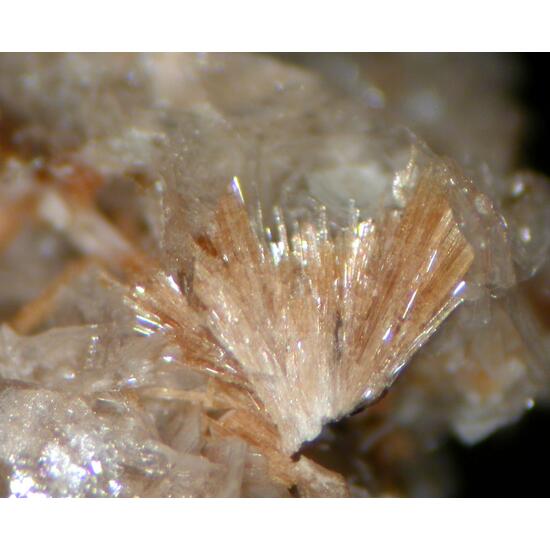 Bussyite-(Ce) & Catapleiite